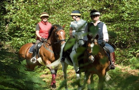Horse riding near Dover in Kent